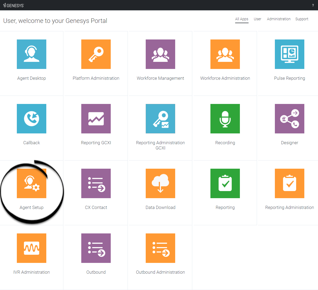 Genesys Portal Login Agent Setup.png