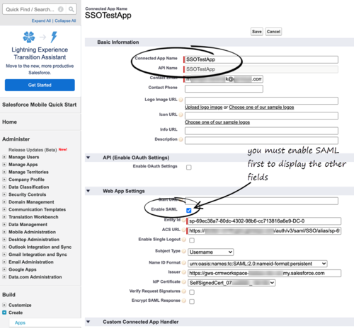 Gplus 900 Salesforce Setup New Connected App View Classic.png