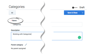 Gkc-cms category fields.png