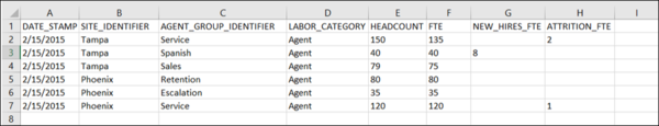 Decisions trblshoot-lost-time staffing-data-format-validation.png